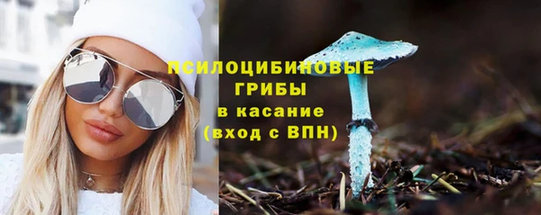 ГАЛЛЮЦИНОГЕННЫЕ ГРИБЫ Алзамай