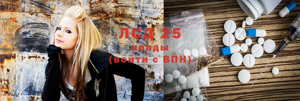 ГАЛЛЮЦИНОГЕННЫЕ ГРИБЫ Алзамай