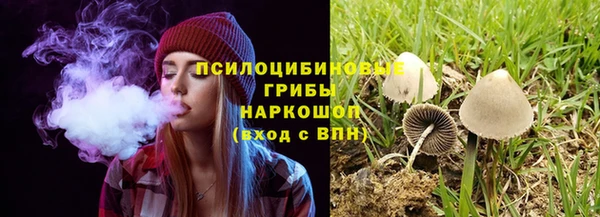 ГАЛЛЮЦИНОГЕННЫЕ ГРИБЫ Алзамай