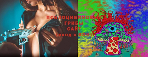 ешки Алексин