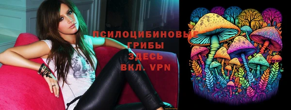 ешки Алексин