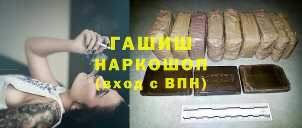 ешки Алексин