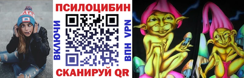 Псилоцибиновые грибы Cubensis  наркотики  Николаевск-на-Амуре 